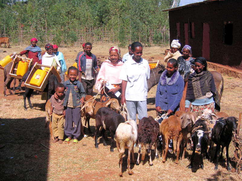 Esel und Ziegen mit ihren neuen Besitzerinnen